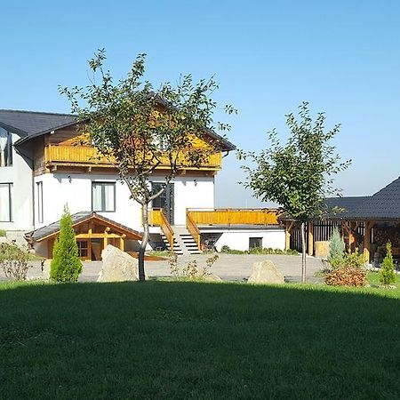 Villa Swiss Sacele Bagian luar foto