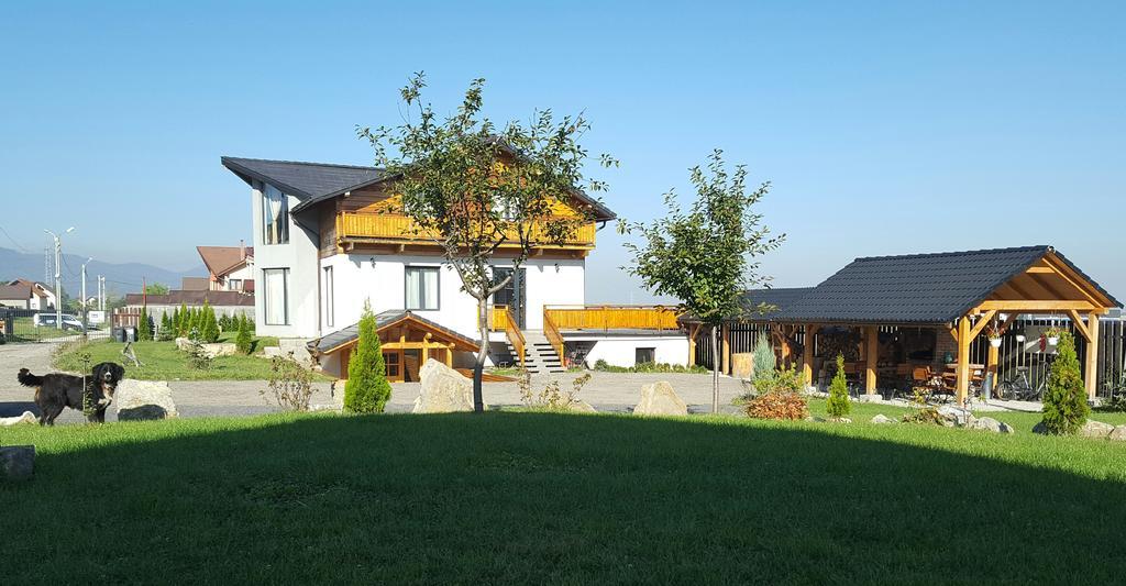 Villa Swiss Sacele Bagian luar foto
