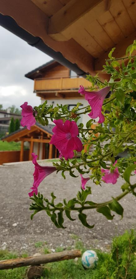 Villa Swiss Sacele Bagian luar foto
