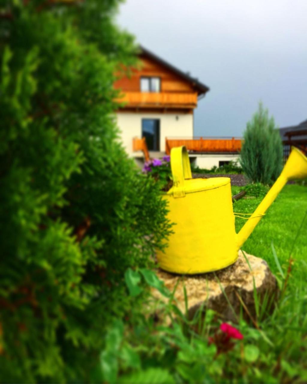 Villa Swiss Sacele Bagian luar foto